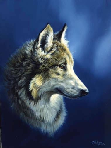 Wolf Head_jpg - pozee