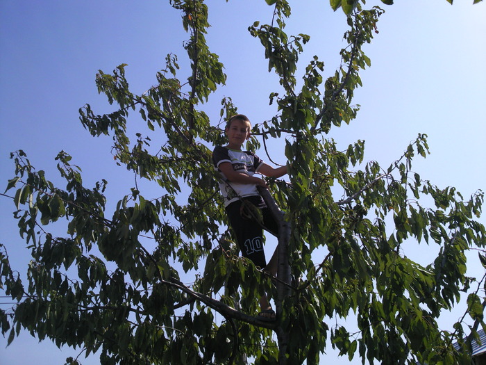 Foto192 - Poze ciudate urate haioase etc