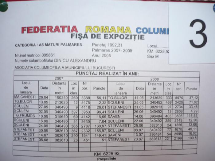 005861-05-RO-M loc 3 national-as maturi palmares expo bucuresti 2008- dinicu alexandru 0726750251 - clasamente si porumbei in expozitii nationale 2009