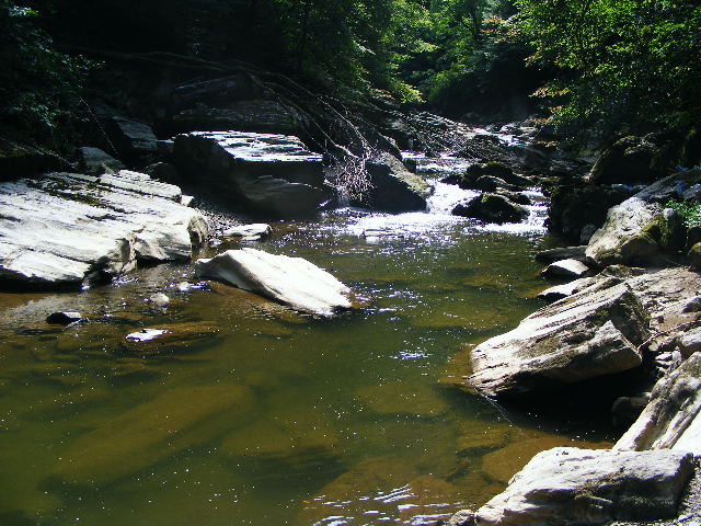 DSCF5209