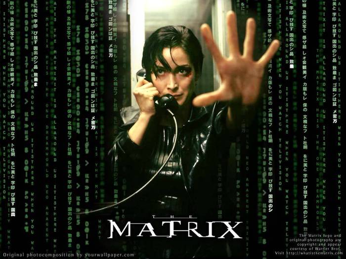 Trinity-from-The-Matrix-the-matrix-2282236-1024-768[1] - MATRIX