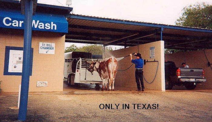 Only.in.Texas - picso