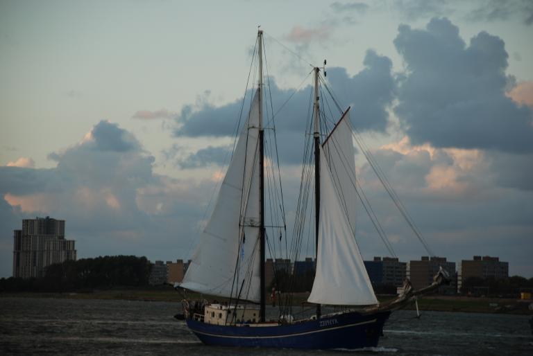 Afbeelding 12