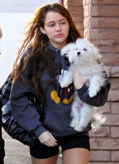 fp_1859547_miley_cyrus_bring_pet_pooch_to_smashbox_studios_in_la.0.0.0x0.460x633[1] - poze noi hannah montana