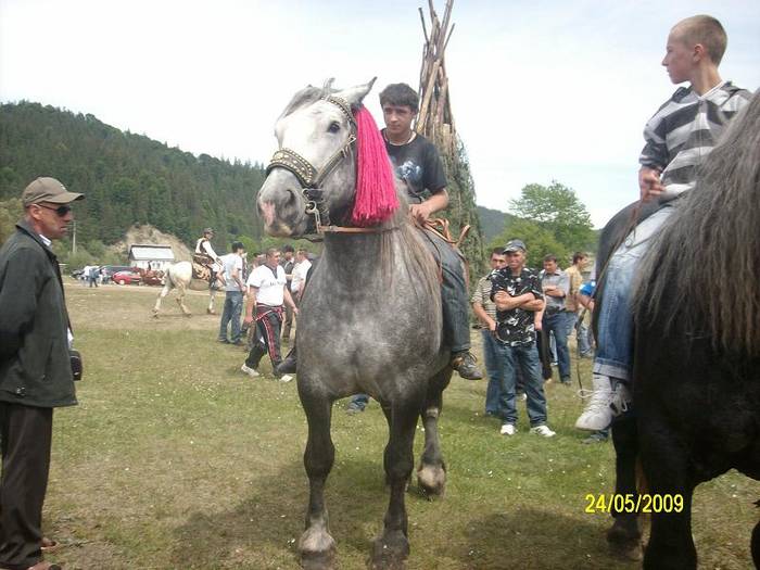 SANY0285 - cai la expo bucsoaia