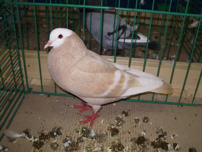 8963 s 0 - 1507 partea 3b