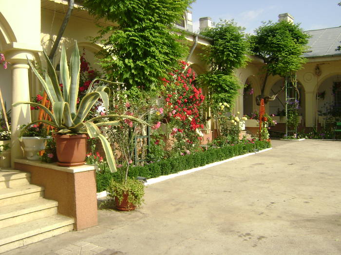  - EXCURSIE  in DELTA