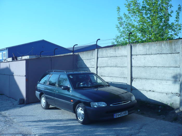 MIHAI SI FURIA VERDE