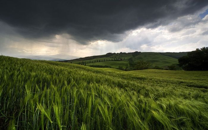 Dont-Fear-the-reaper - 171 - Nature Wallpapers