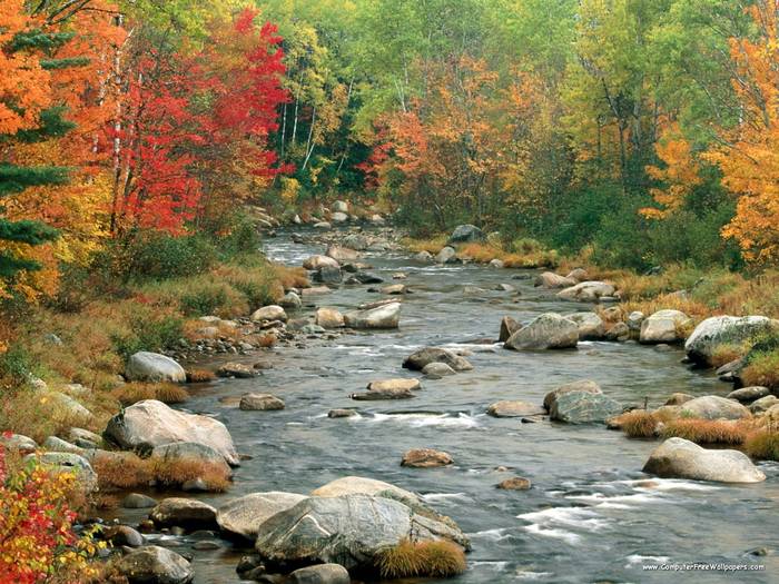 Autumn Colors, White Mountains, New Hampshire - Very Beautiful Nature Scenes