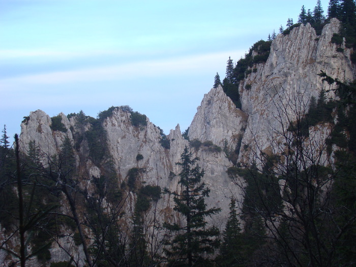 DSC04587