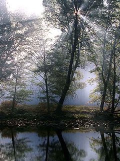 sgd1137702695.50632 - Mobile Wallpapers