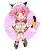 EDKNMKKYHQPVYGAYZXJ - echipa mew mew