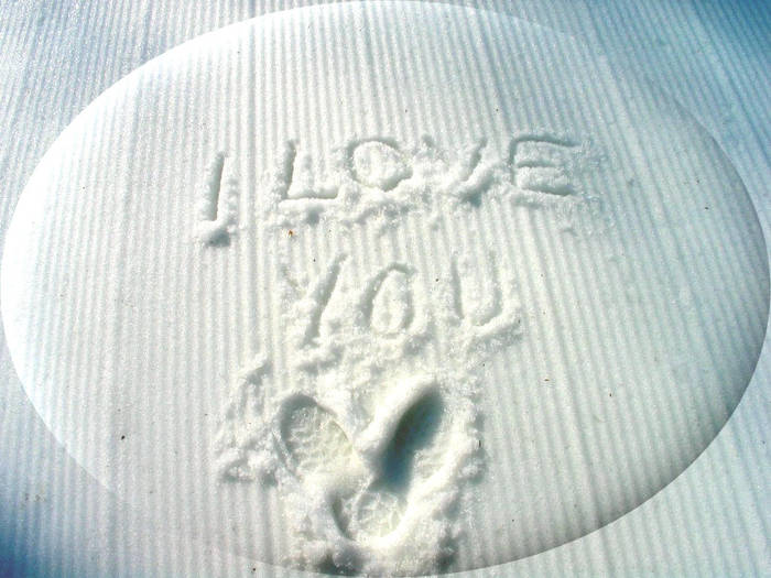 (427) - HD Wallpapers