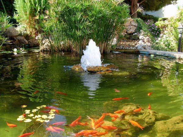pond-fountain - Japonia