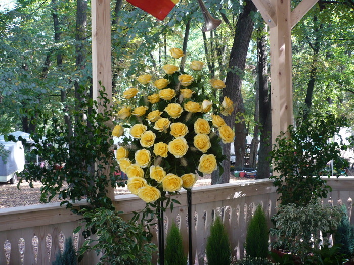 29-09-2009 052 - Expo-Flora 2009 Baia Mare