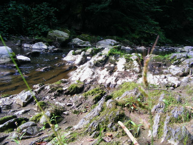 DSCF5098