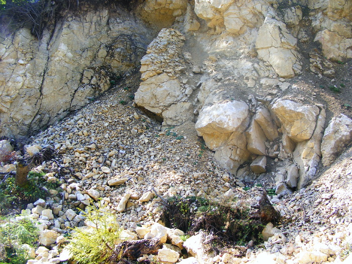 DSCF6300 - muntii Rodnei