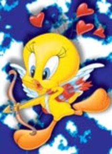 ttttttt - Tweety