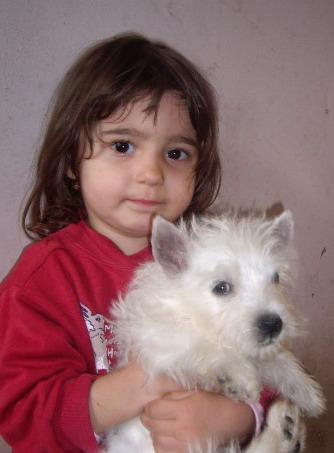 westie - animalele si copii mei