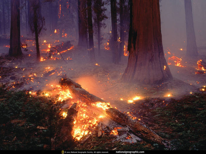 National Geographic Wallpapers 025 - PEISAJE