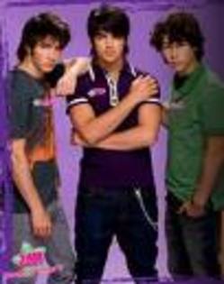 d - jonas brothers