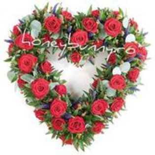 inima-trandafiri-rosii~6671832