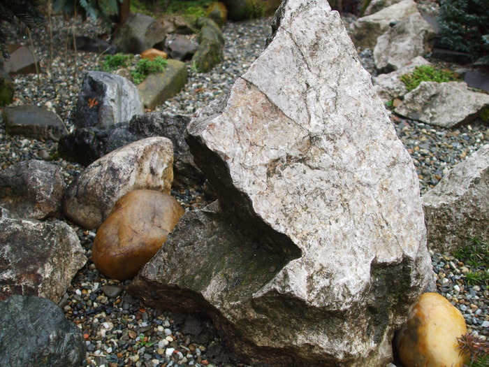 Picture 266 - Amazing rock