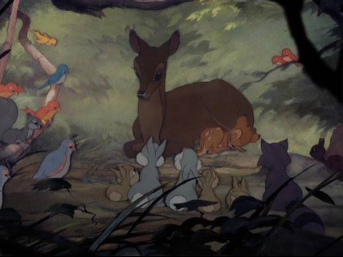 bambi_r1_PDVD_000a01[1]