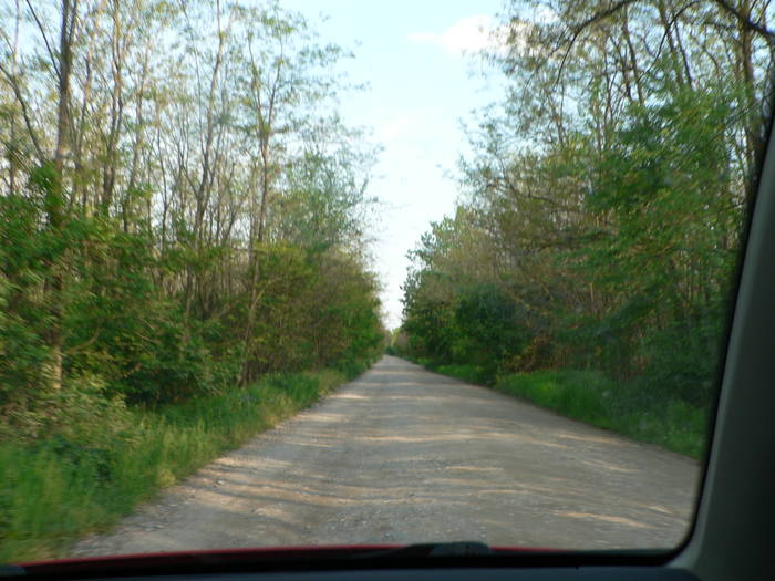 P1040922