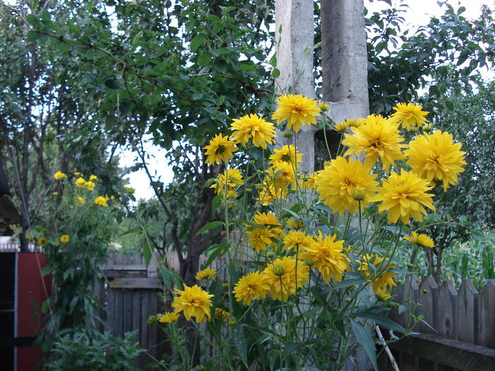 DSC09480