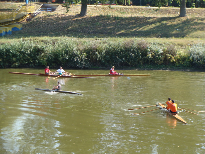 Concursul Cupa Mures 2009 - Cupa Mures 2009 Arad