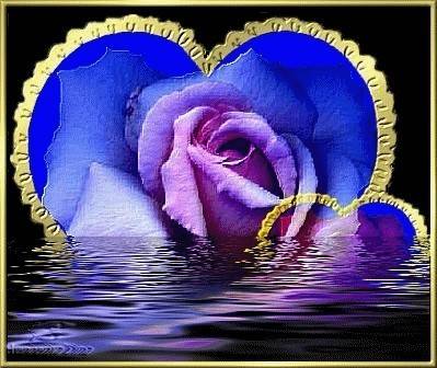 4fe1fbb608f9646f384e3b4zy0