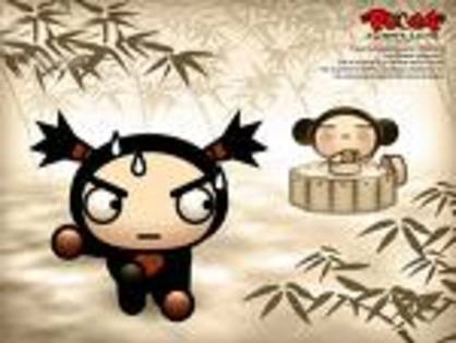 imagesCAZ3MJTZ - pucca