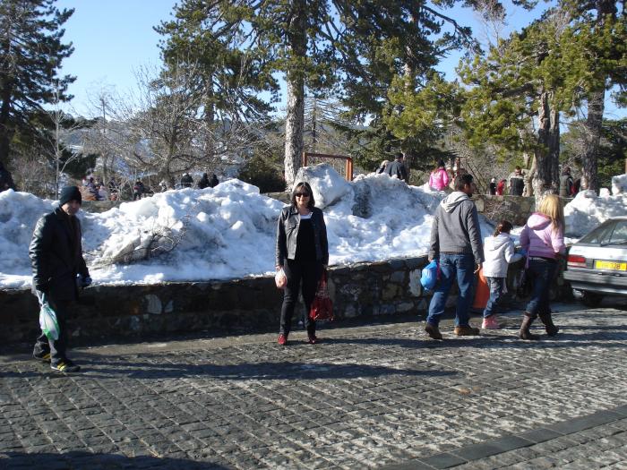 Picture 755; Troodos
