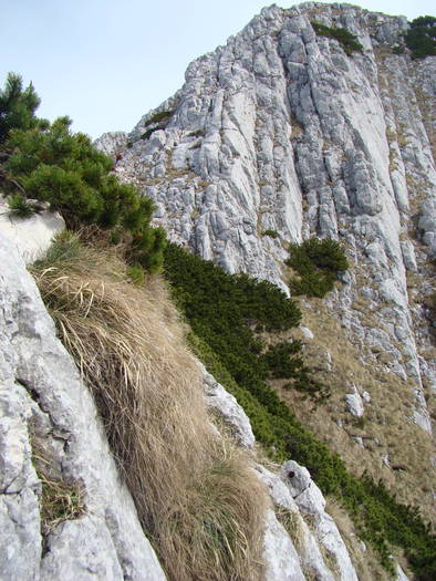 DSC03278 - Piatra Craiului MAI