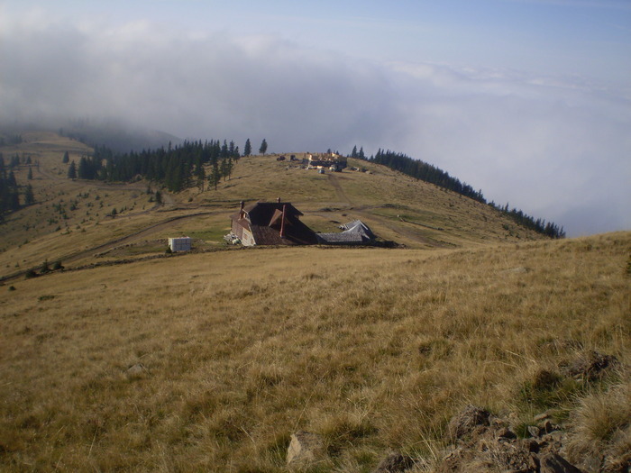 VARFUL URSU 25.10.2009 004; DE AICI INCEPE URCUSUL PRIN GOL ALPIN
