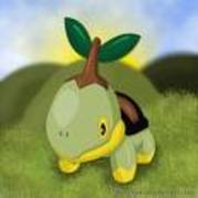 ol9809pl - turtwig