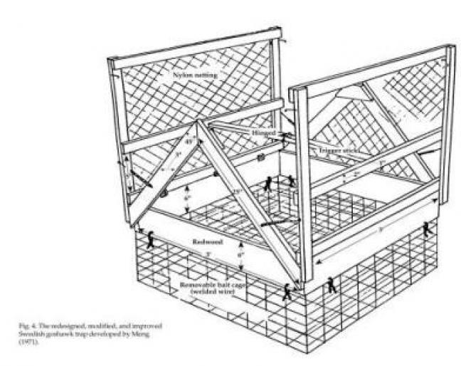 goshawktrap[1] - capcane pt rapitoare