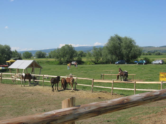 IMG_3048 - ECHITATIE 2008-2009