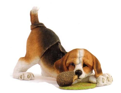 Beagle_Puppy - Beagle puppy