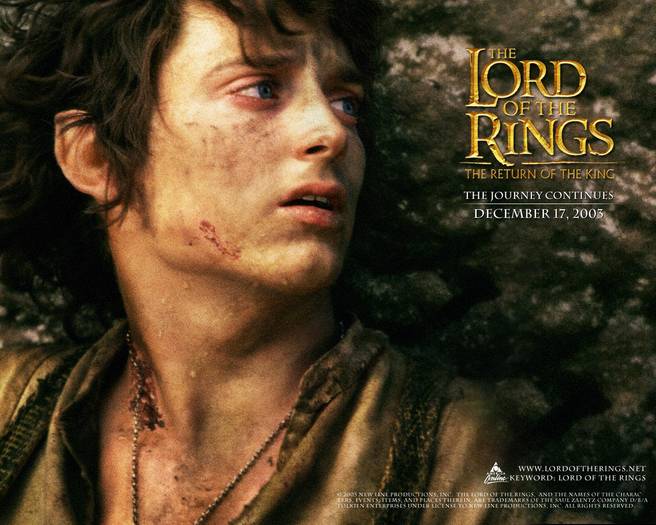 the_lord_of_the_rings,_the_return_of_the_king,_elijah_wood_(frodo) - lord of the rings