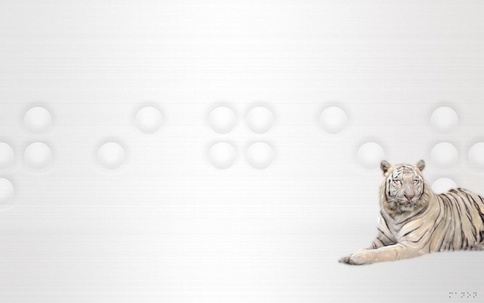 00149_platinumtiger_1440x900