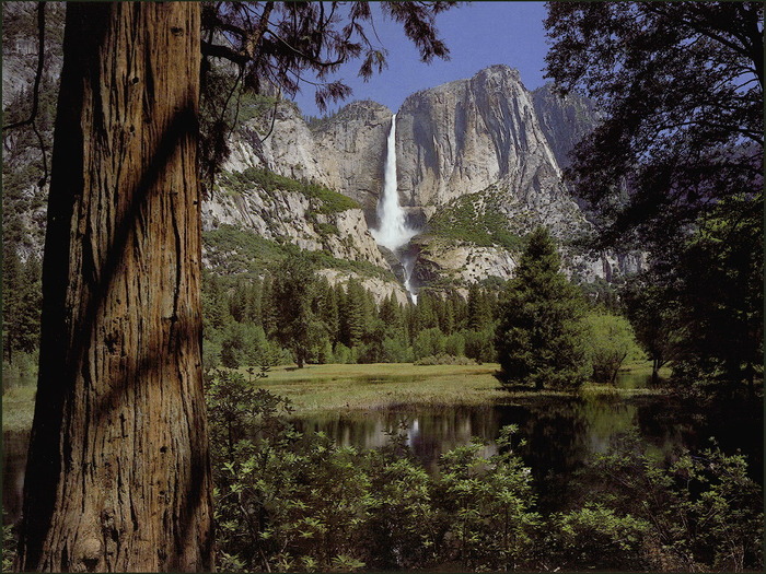 Yosemite - Diverse imagini