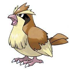 016pidgey