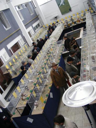 Expozitia 3 - Expo 2008 Bistrita