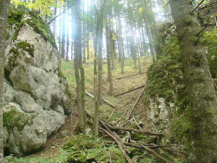 DSC00307 - Piatra Mare Sapte Scari