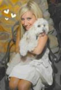 th_005 - ASHLEY TISDALE POZE RARE