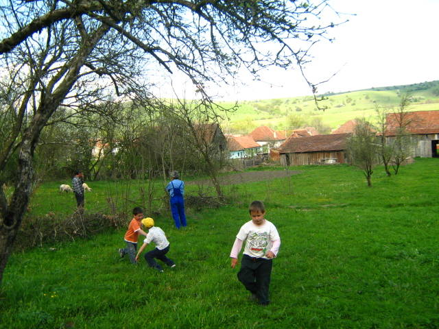 IMG_3019 - Toarcla jud Brasov