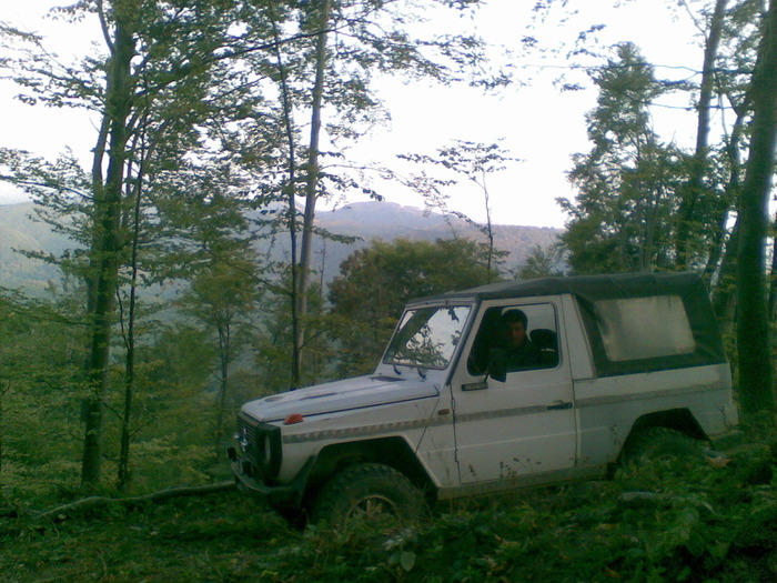 26092009(002) - vanatoare padure